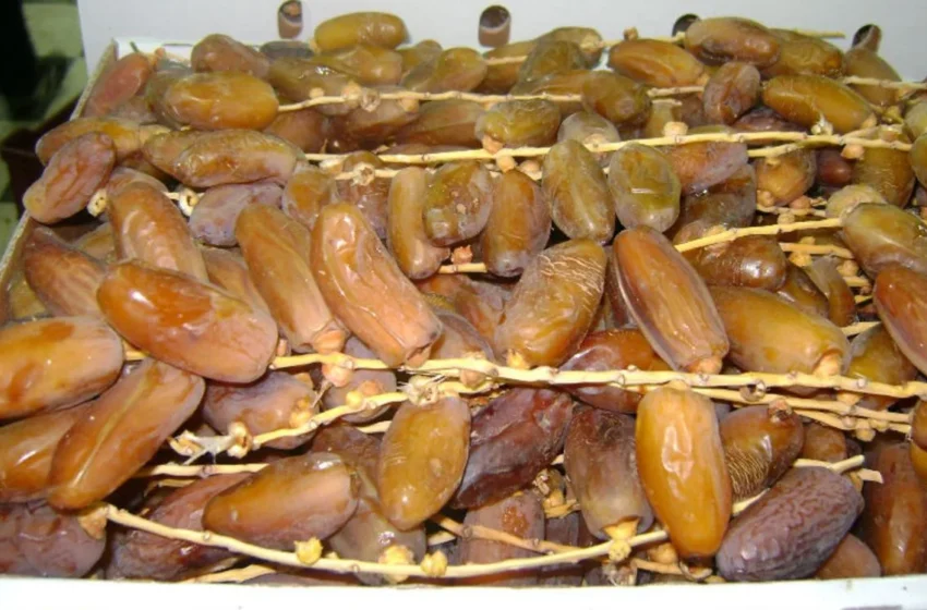  Attention aux fausses dates « marocaines »