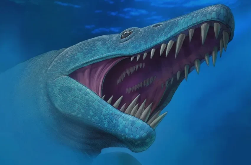  Ce prédateur aux dents de poignard dominait les mers marocaines avant les dinosaures