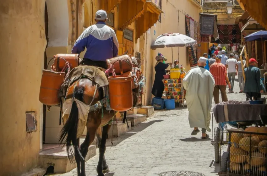  Fès remporte un prix mondial et un million de dollars