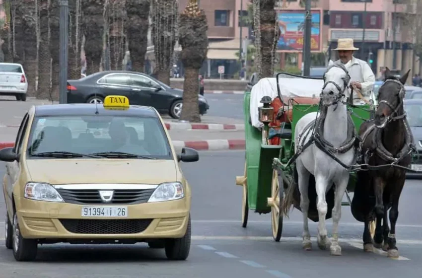  Laftit s’en prend enfin aux “lobbies” des grimates
