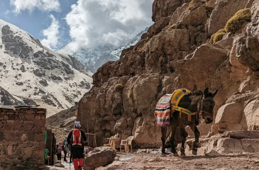  L’ascension du Toubkal vue par le journal The Guardian