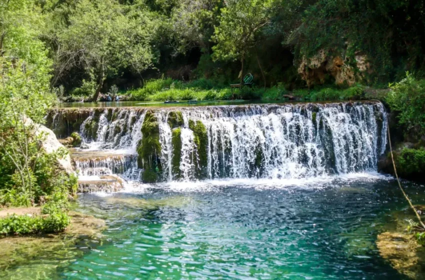  Métamorphose verte au nord du Maroc