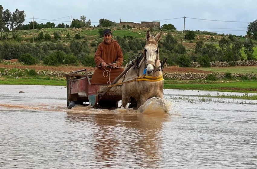  Pluies torrentielles, neige et vents violents dès ce lundi