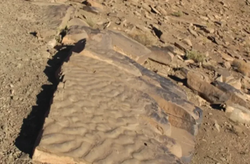  Une découverte dans le Haut Atlas marocain change notre vision des océans primitifs