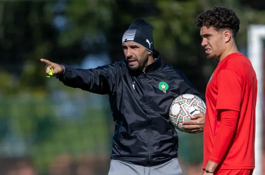  Walid Regragui à l’Olympique de Marseille ? Pourquoi le sélectionneur des Lions ne quittera pas le Maroc