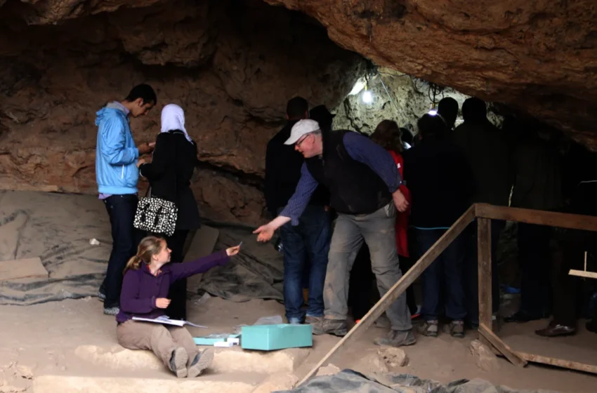  comment le Maroc a dessiné la carte génétique de la région