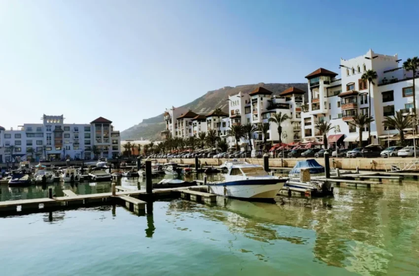  plus de 61 000 Français ont déjà franchi le pas, et vous ?