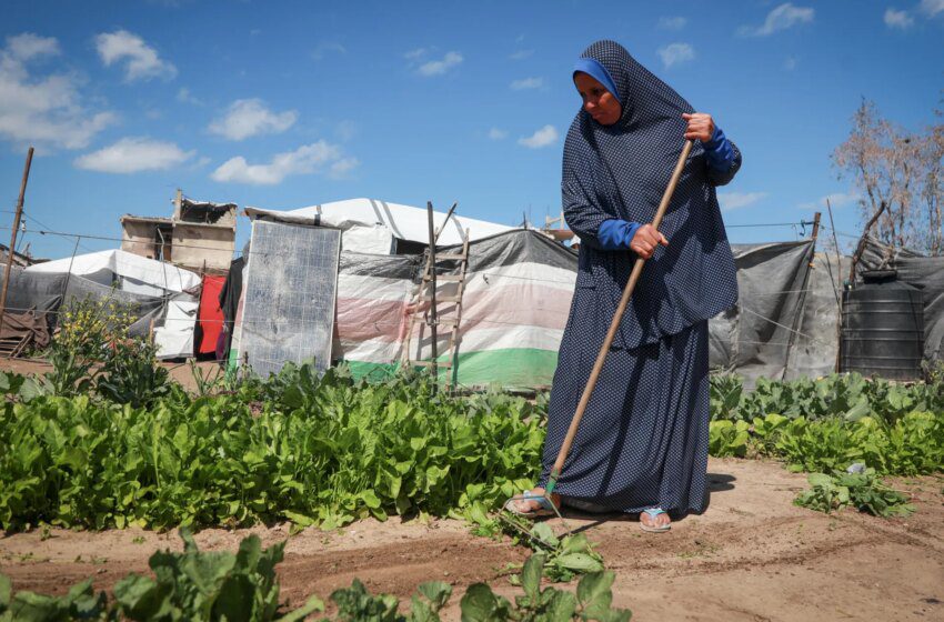  À Gaza la ligne jaune prive des milliers de Palestiniens de leurs terres
