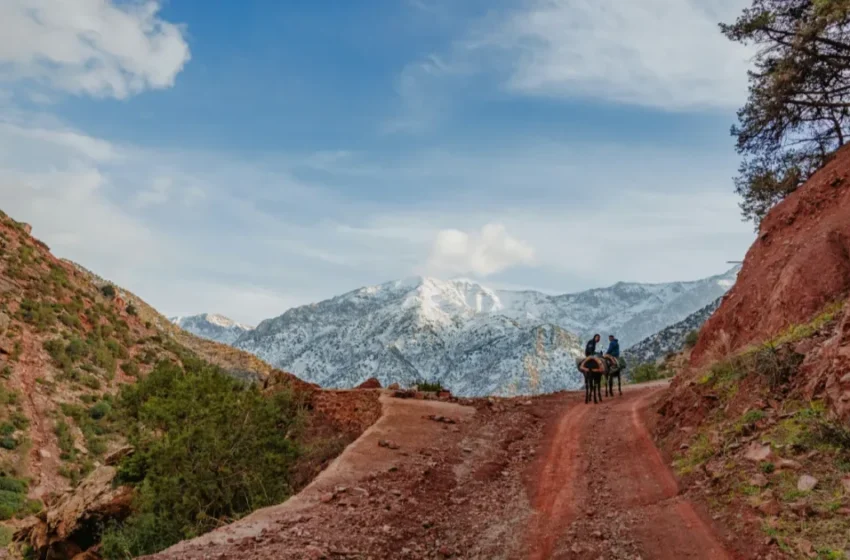  Alerte météo : averses orageuses et neige prévue au Maroc ce mercredi