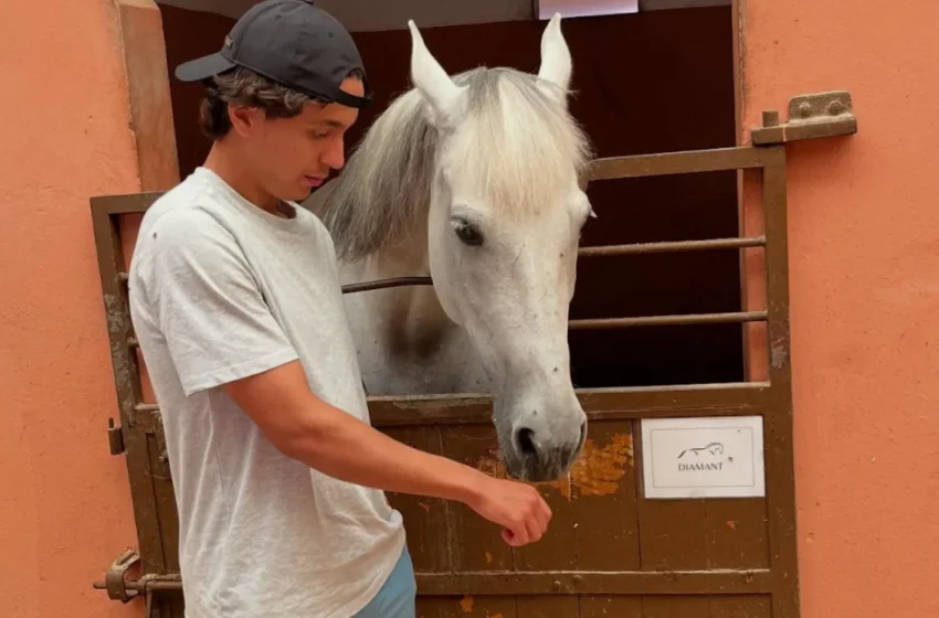  Ali Maamar champion U20 du Maroc retrouve le Club Bruges avec Anderlecht