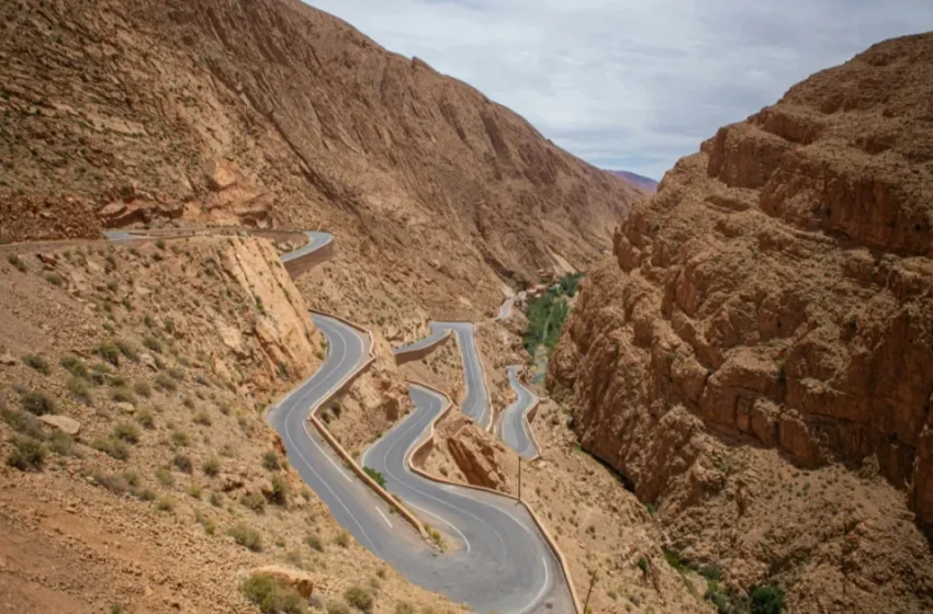  Des empreintes biologiques vieilles de 180 millions d’années découvertes dans l’Atlas marocain