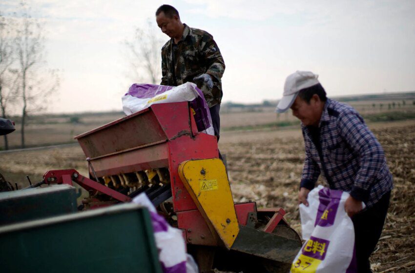  Fermeture du détroit d’Ormuz provoque pénurie d’engrais et menace la sécurité alimentaire mondiale