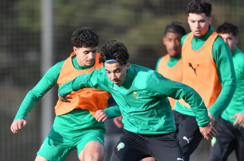  Gustavo Alfaro voit le Maroc parmi les favoris du Mondial avant Lens