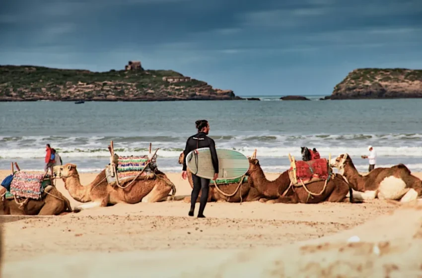  L’Islande, la Suisse et la Norvège en tête des pays les plus sûrs en 2026