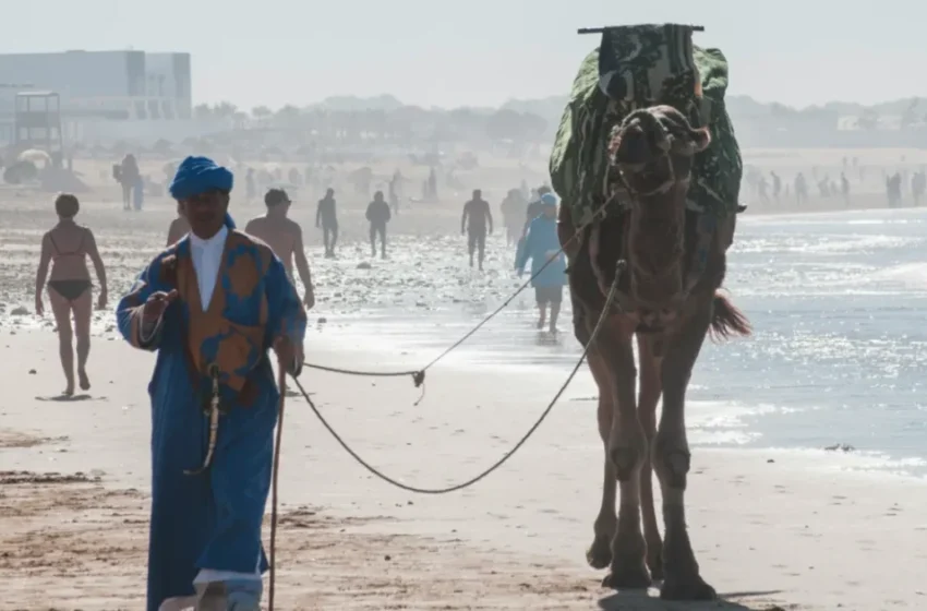  Le Maroc échappe pour le moment aux restrictions de voyage