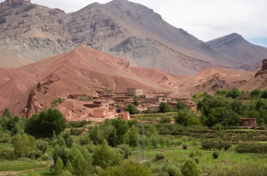  Le Maroc en tête du classement mondial pour la santé immunitaire en 2026