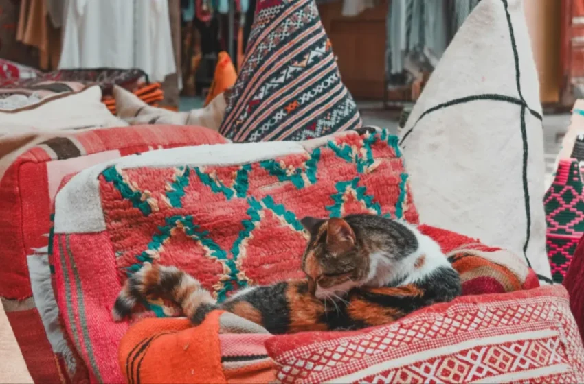  Le Maroc passe à l’heure légale GMT+1 ce soir à deux heures du matin