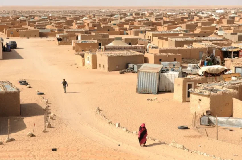  Michael Rubin appelle l’ONU à mettre fin aux opérations dans les camps de Tindouf