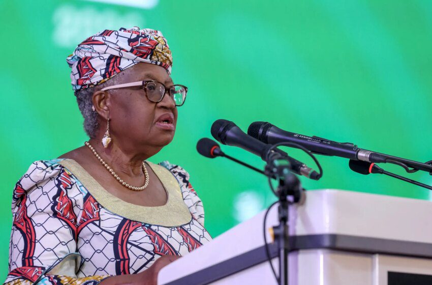  OMC menacée d’effondrement à Yaoundé si aucun accord sur les réformes