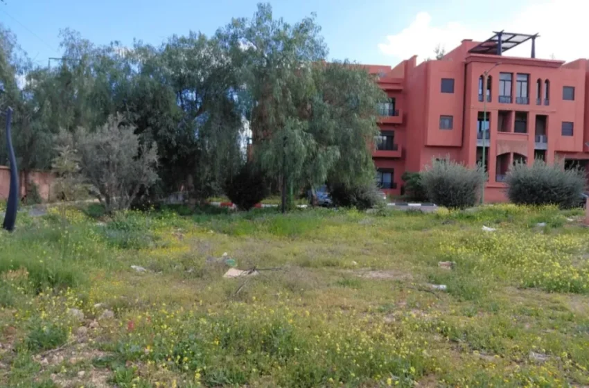  Réforme fiscale des terrains vides au Maroc : enjeux et défis de mise en œuvre