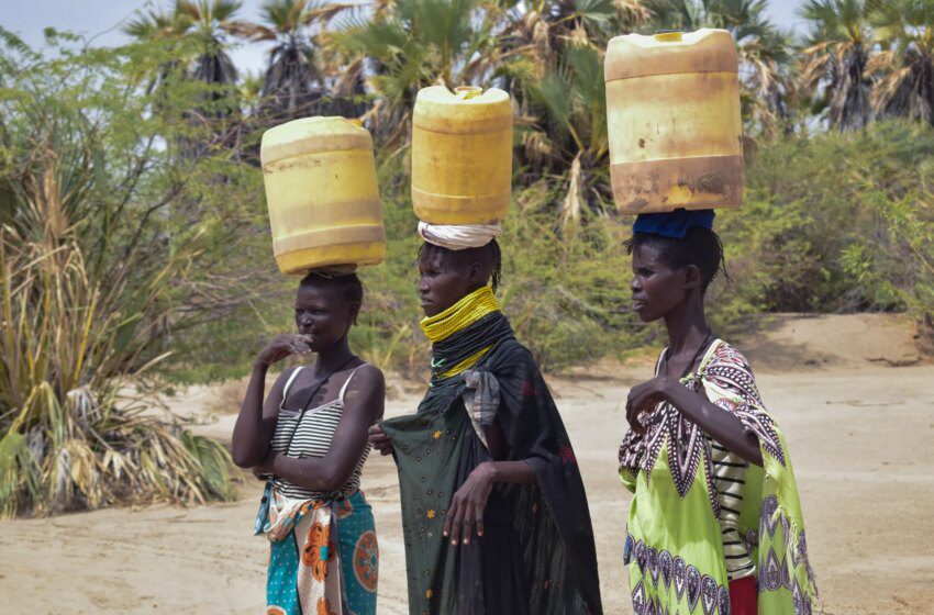  Sécheresse dévaste Turkana au Kenya et menace la sécurité alimentaire