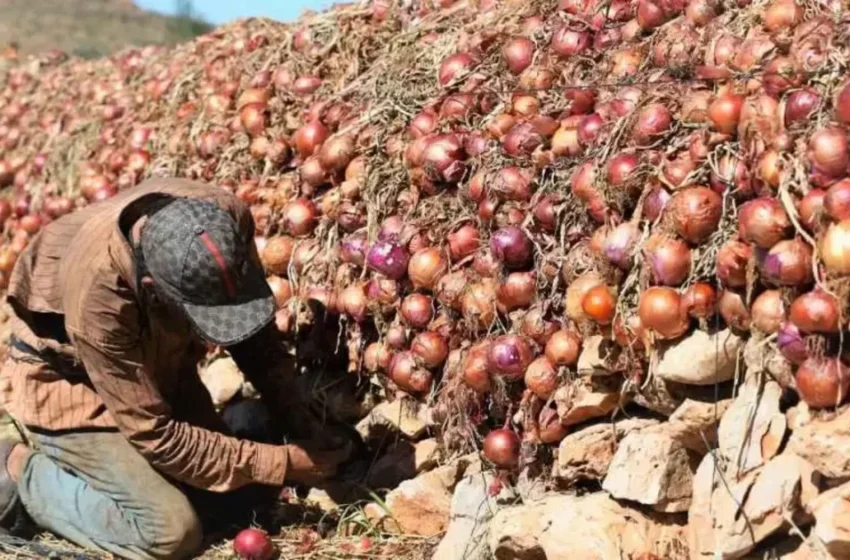  Suspension des importations alimentaires pour contrer la hausse des prix au Maroc