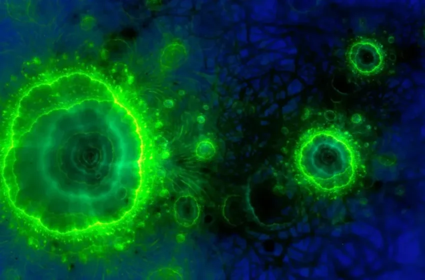  Une découverte dans le Haut Atlas remet en question notre compréhension des sédiments océaniques anciens