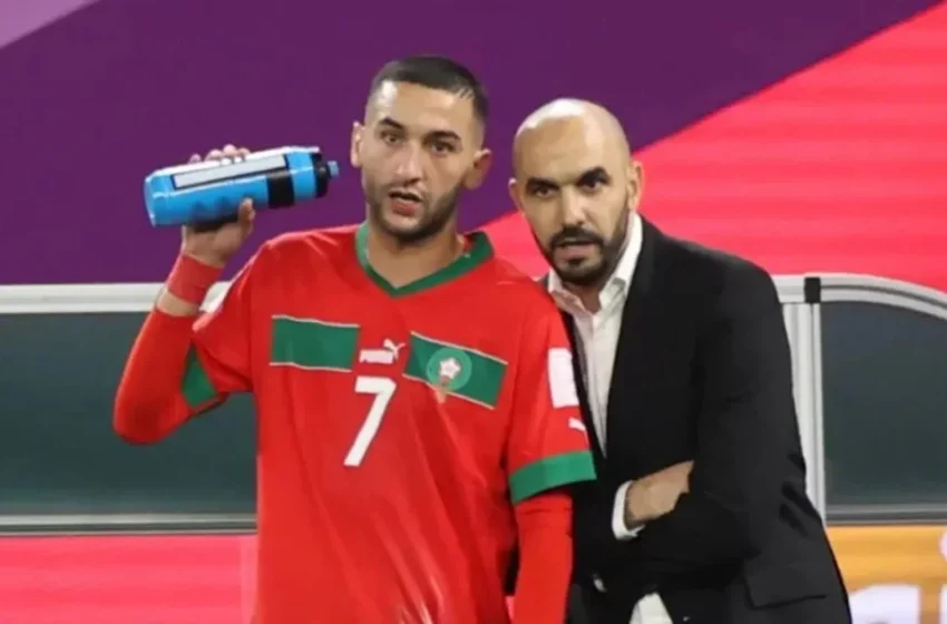  Walid Regragui quitte les Lions de l’Atlas, Mohamed Ouahbi pressenti comme sélectionneur