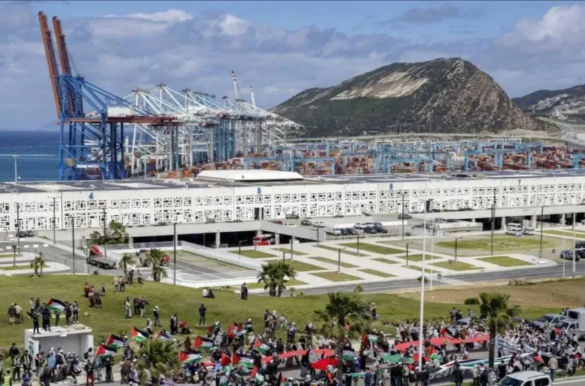  Amnesty International alerte sur la lâcheté des dirigeants face aux conflits mondiaux