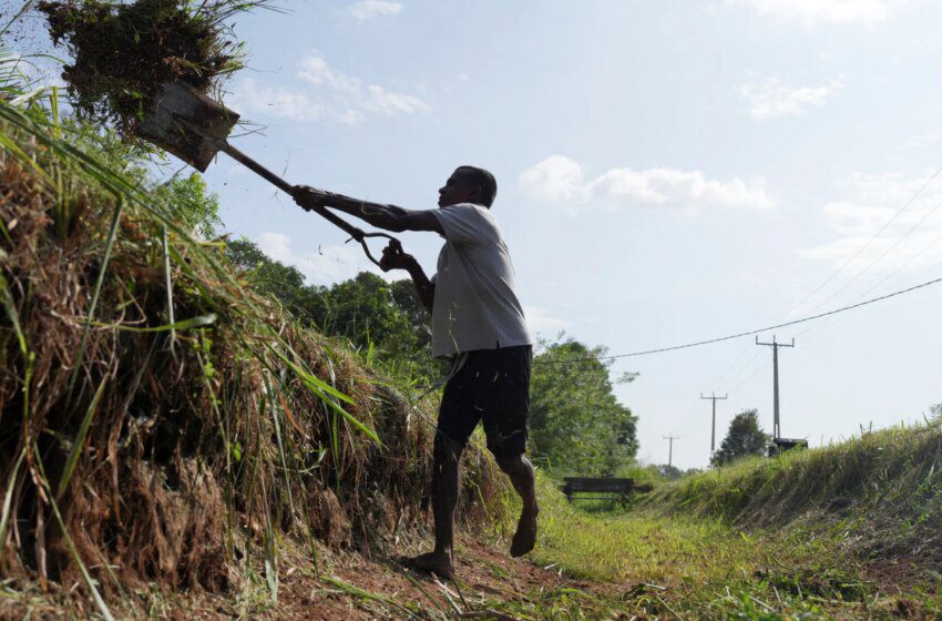  Blocage du détroit d’Ormuz menace rendements agricoles et sécurité alimentaire, alerte le PNUD
