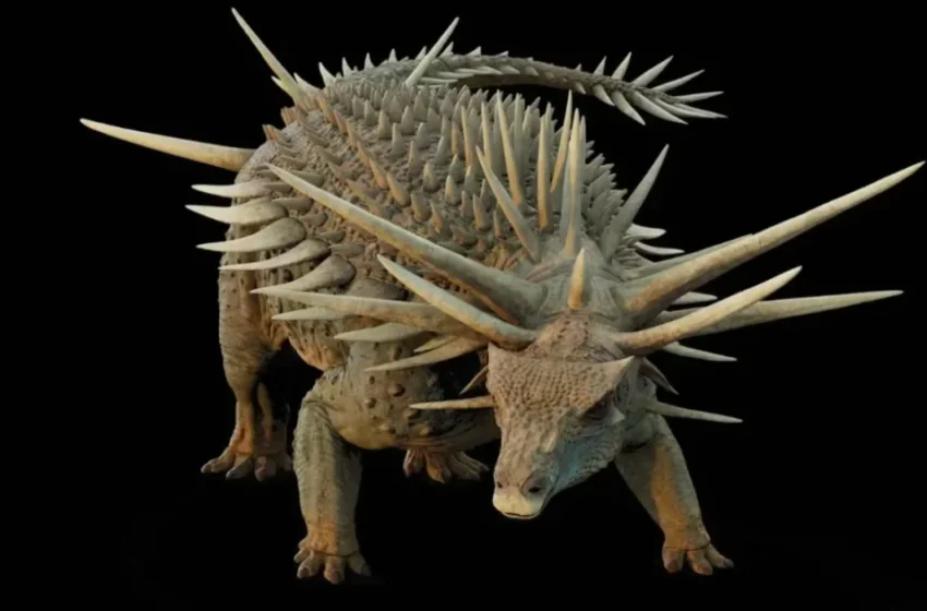  Découverte d’un ancien dinosaure herbivore dans le Moyen Atlas marocain