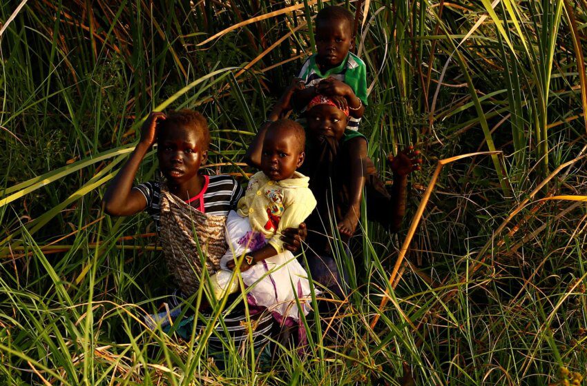  Famine et effondrement menacent le Soudan du Sud après retrait partiel de l’ONU