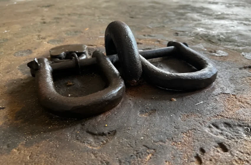  France s’abstient à l’ONU sur la traite transatlantique qualifiée pire crime contre l’humanité