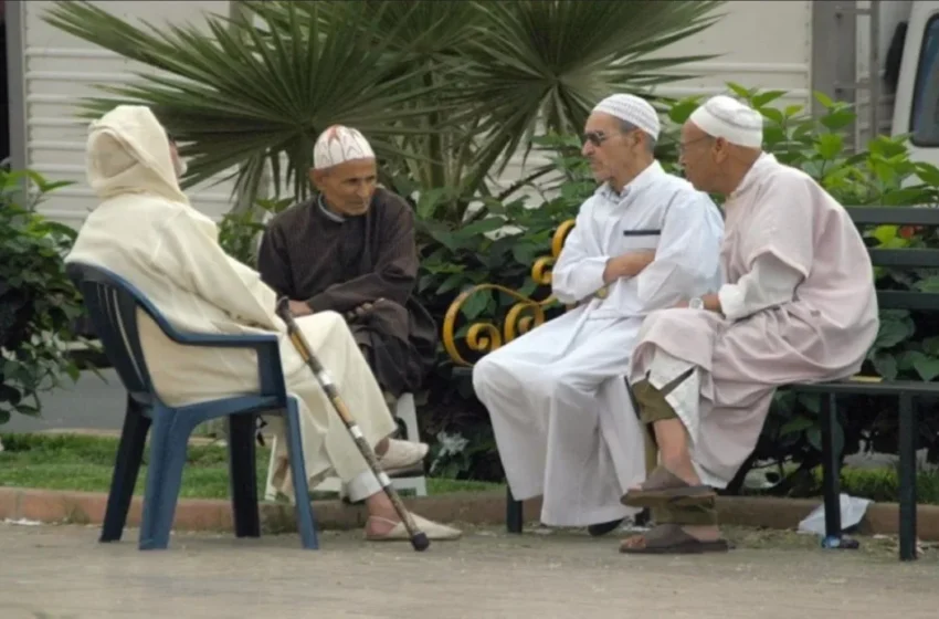  Inégalités de pension : 40 % des immigrés néerlandais en grande précarité face à 6 % des locaux