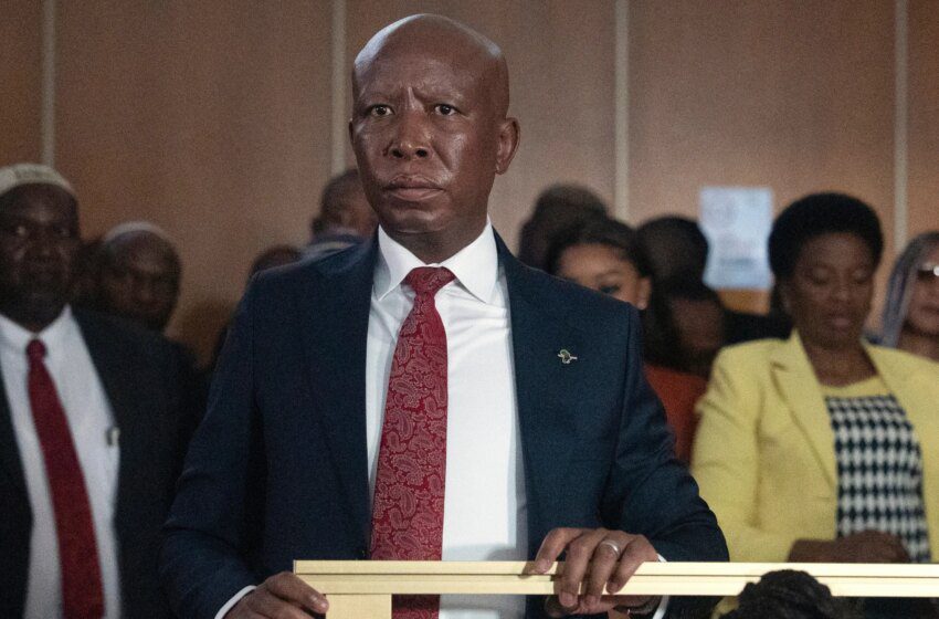  Julius Malema condamné à 5 ans de prison pour tirs publics en Afrique du Sud