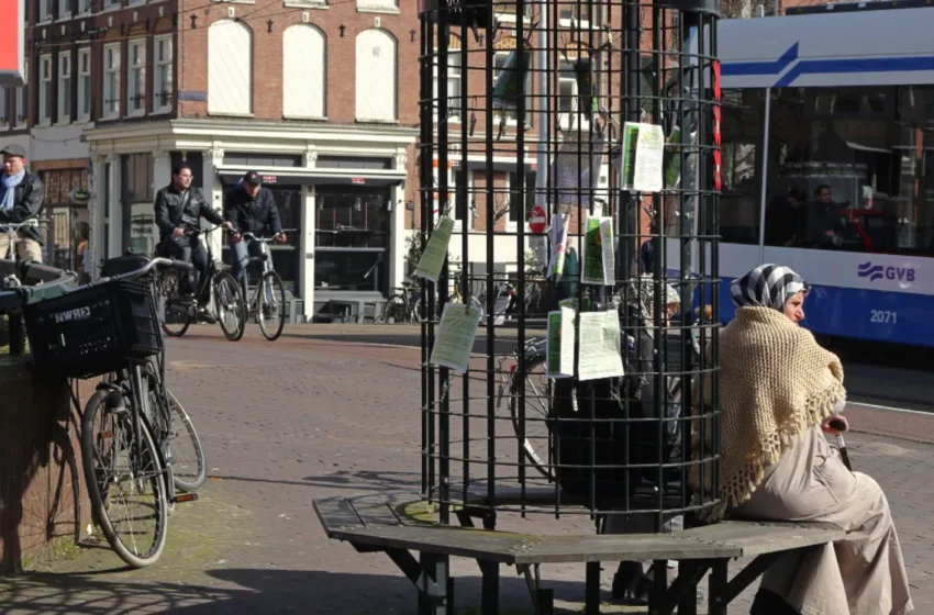  La « toeslagenaffaire » néerlandaise : 26 000 parents victimes d’une discrimination raciale injuste