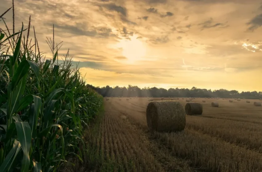  Le Sénat américain propose de lever les droits sur les importations de phosphate marocain