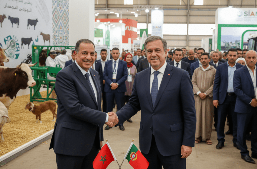  Maroc et Portugal renforcent partenariat au SIAM pour moderniser la filière élevage