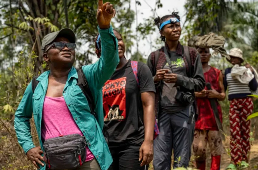  Prix Goldman pour l’Environnement 2026 : première cohorte entièrement féminine de lauréates