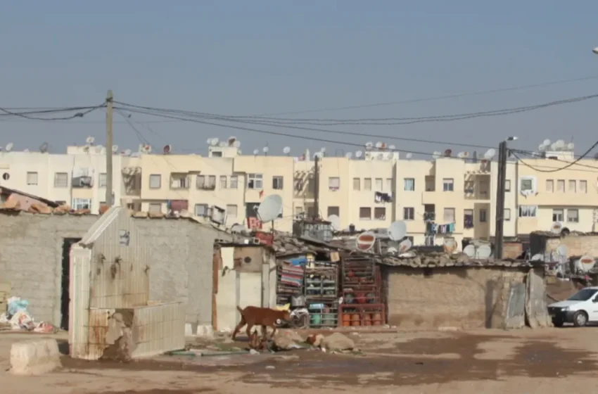  Réforme des lotissements : l’opposition exige des mesures contre le partage illégal des terres