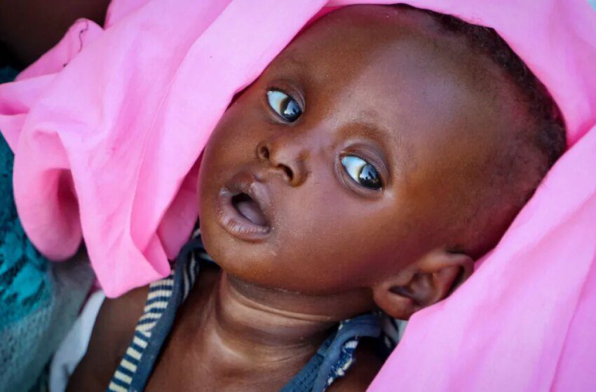  Soudan du Sud : 7,8 millions en insécurité alimentaire aiguë, l’ONU alerte