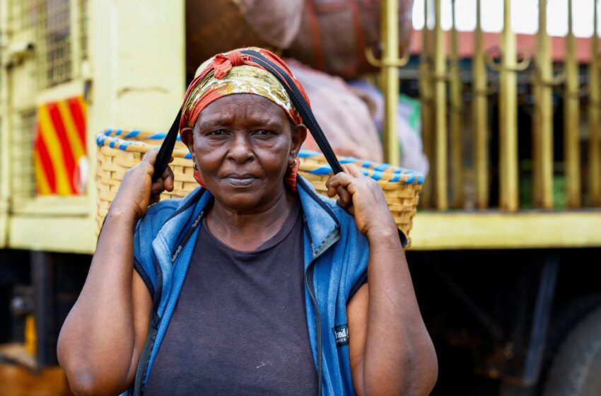  Thé kényan : 8 millions de kg bloqués après la guerre américano-israélienne contre l’Iran