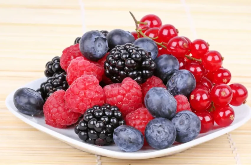  Turbulences sur le marché des fruits rouges : Maroc, Espagne et Portugal en crise