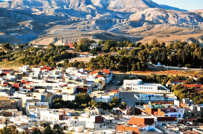  Un élu arrêté pour fraude fiscale et sociétés écrans en enquête judiciaire