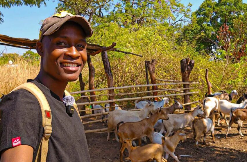  Diaspora zimbabwéenne stimule investissements immobiliers et agricoles grâce à deux créateurs de contenu