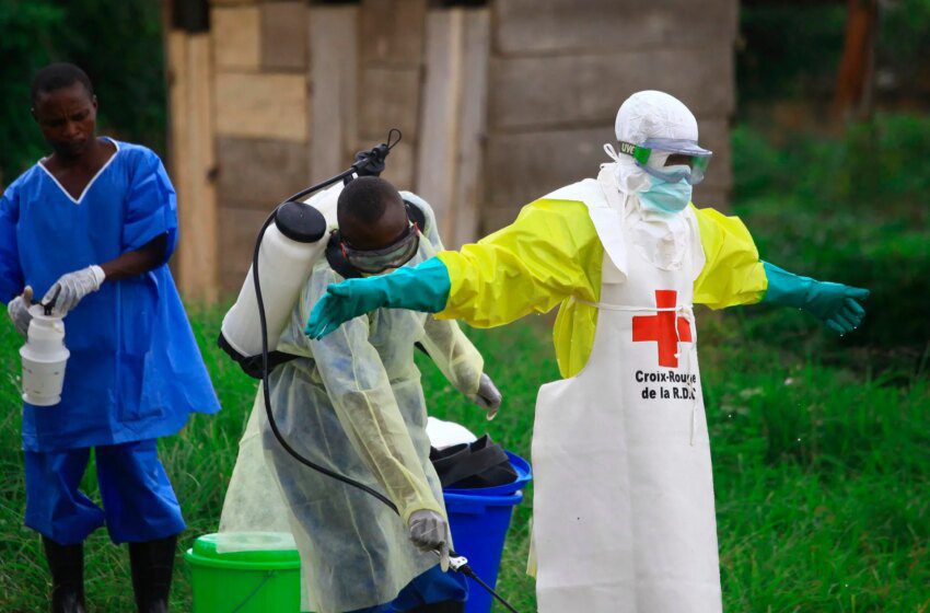  Ebola Bundibugyo en Ituri (RDC) : 80 morts, risque de propagation transfrontalière