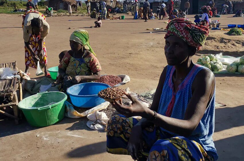  Fermeture de l’aéroport de Bunia en RDC pour contenir l’épidémie d’Ebola