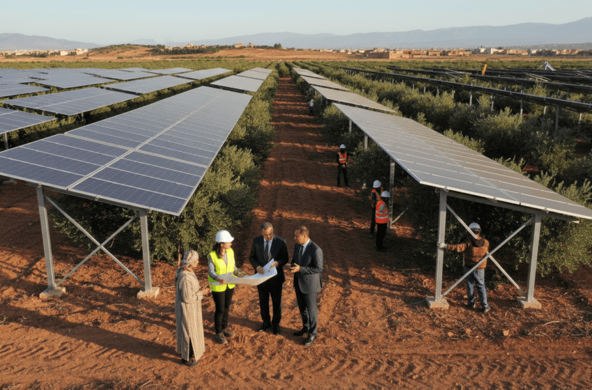  Installation de panneaux solaires en agriculture relancée pour un cadre légal sécurisé