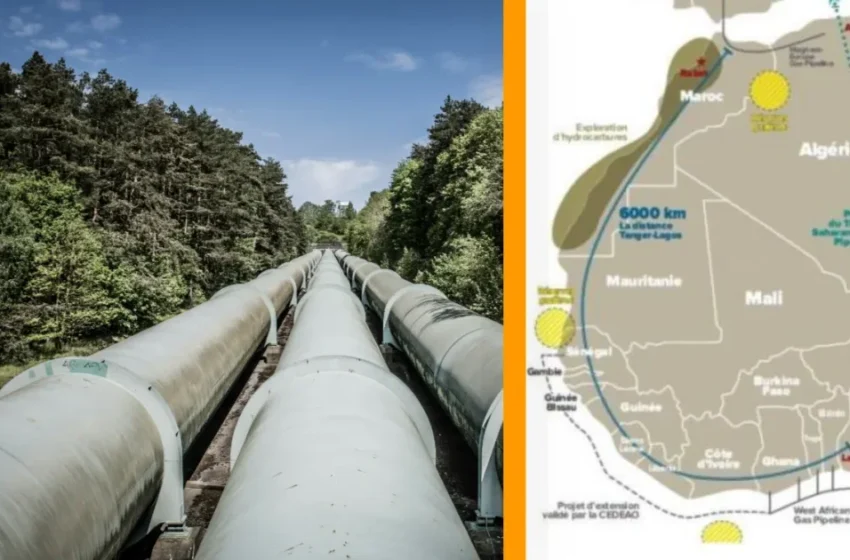  Le méga-projet de gazoduc Afrique-Atlantique achève ses études techniques avant sa formalisation
