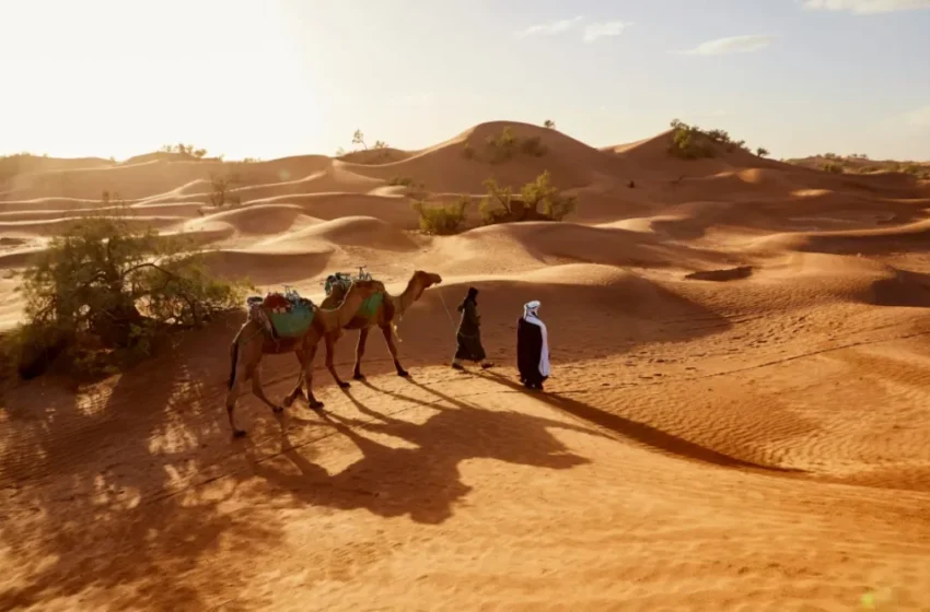  Le tourisme d’aventure au Maroc : des milliers de passionnés relèvent le défi 4L Trophy